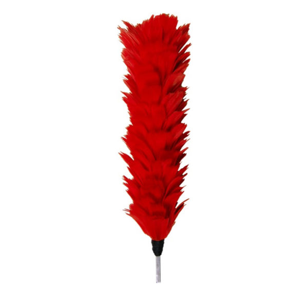 Red Feather Plume Hackle 12 Inches