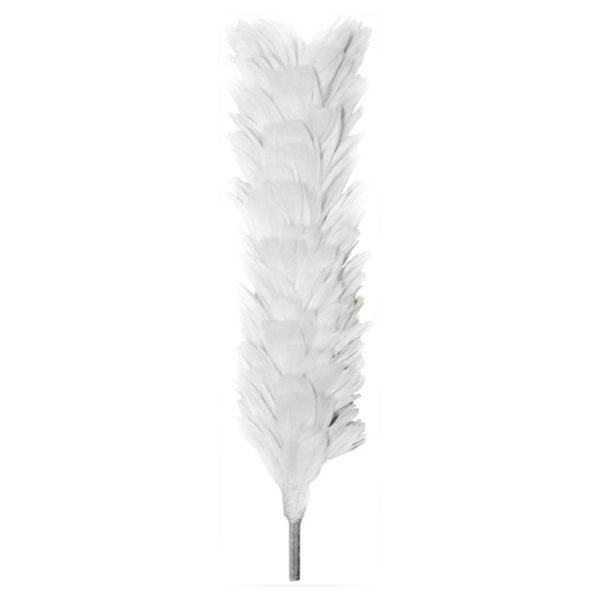 White Feather Plume Hackle 12 Inches